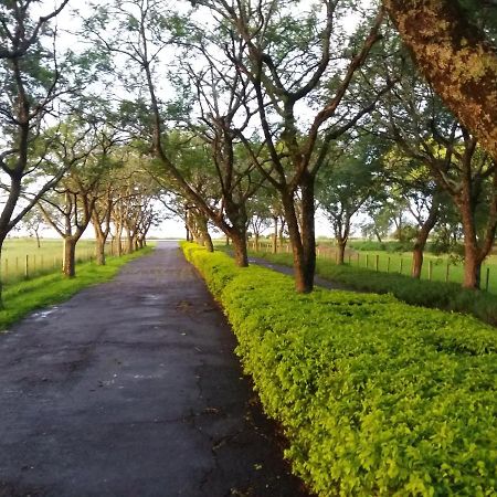 Estancia Timbauva Уругуаяна Экстерьер фото