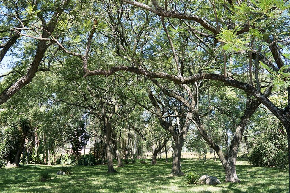 Estancia Timbauva Уругуаяна Экстерьер фото